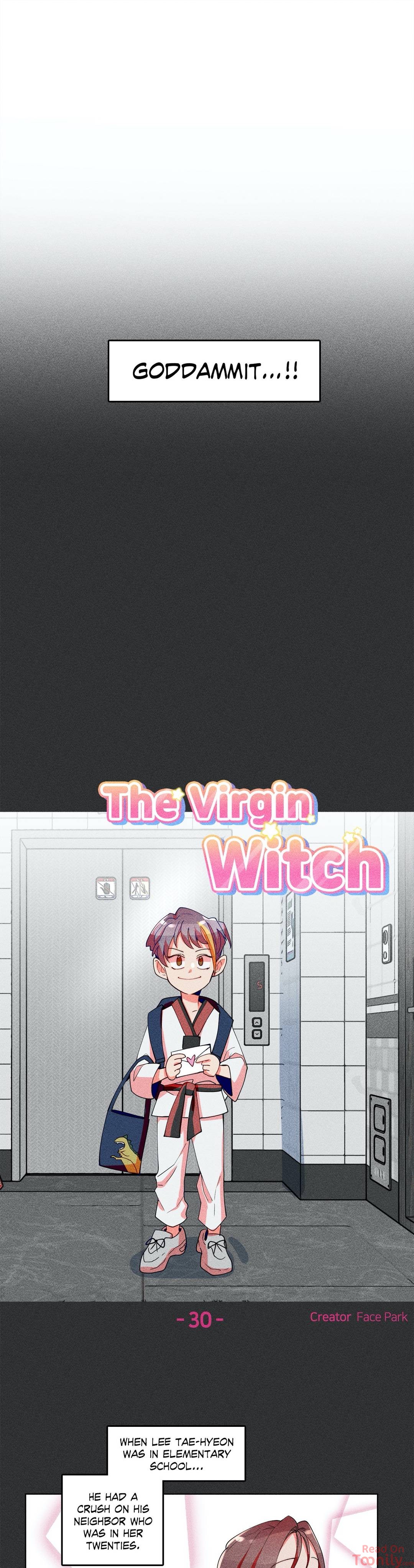 The Virgin Witch image