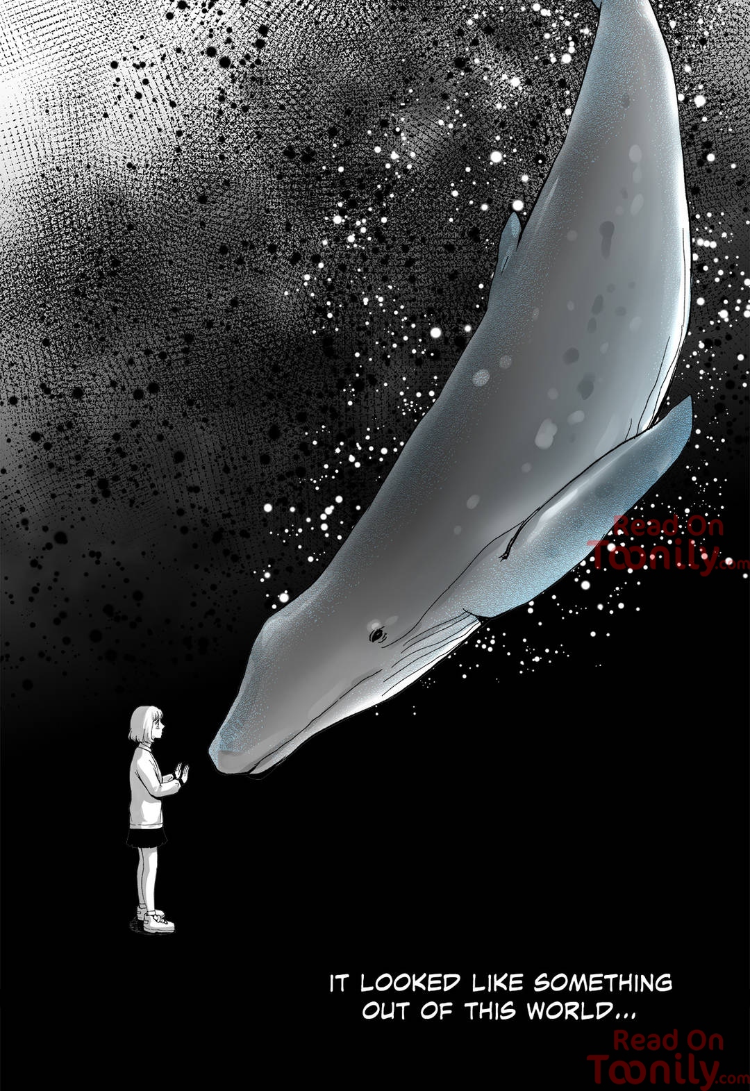 The Whale image