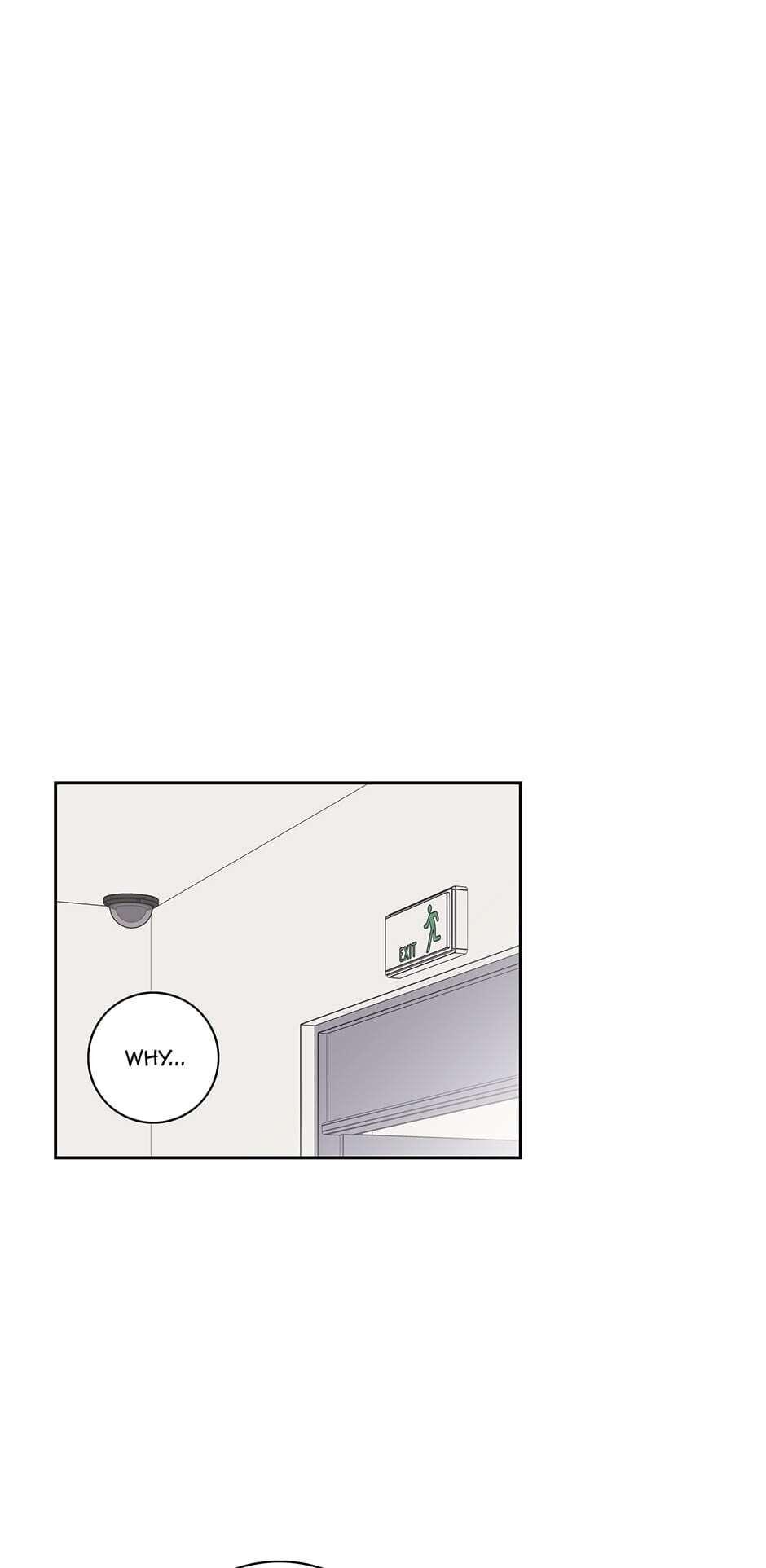 Toy Complex image