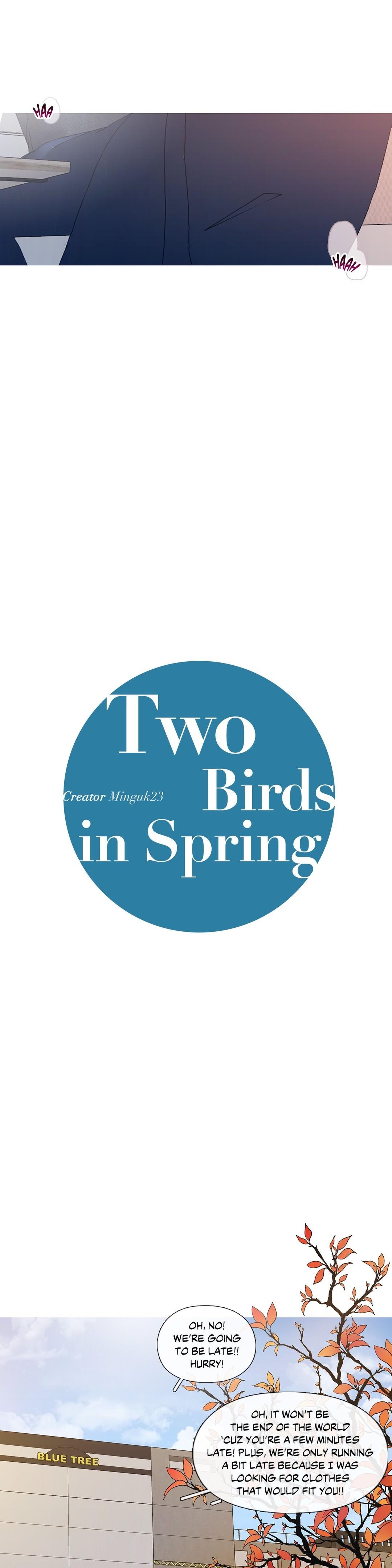 Two Birds in Spring image