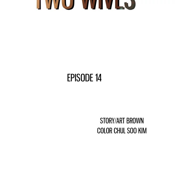 Two Wives image