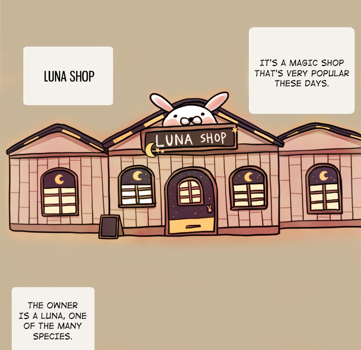 Welcome to Luna Shop! image