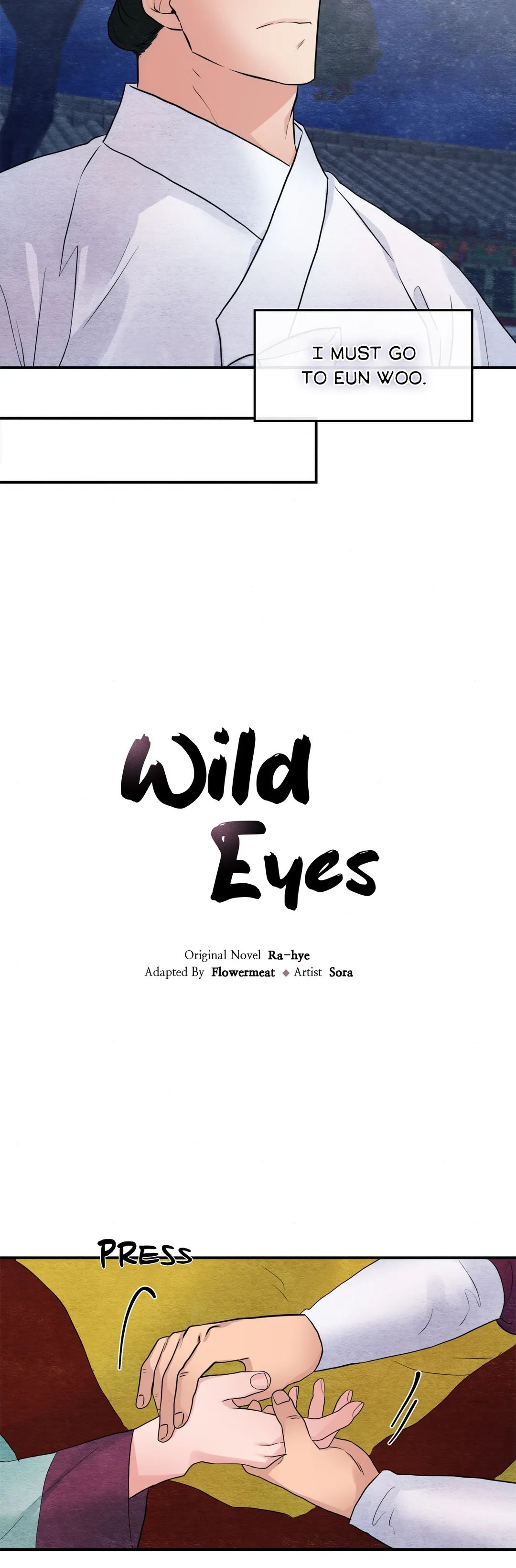 Wild Eyes NEW image