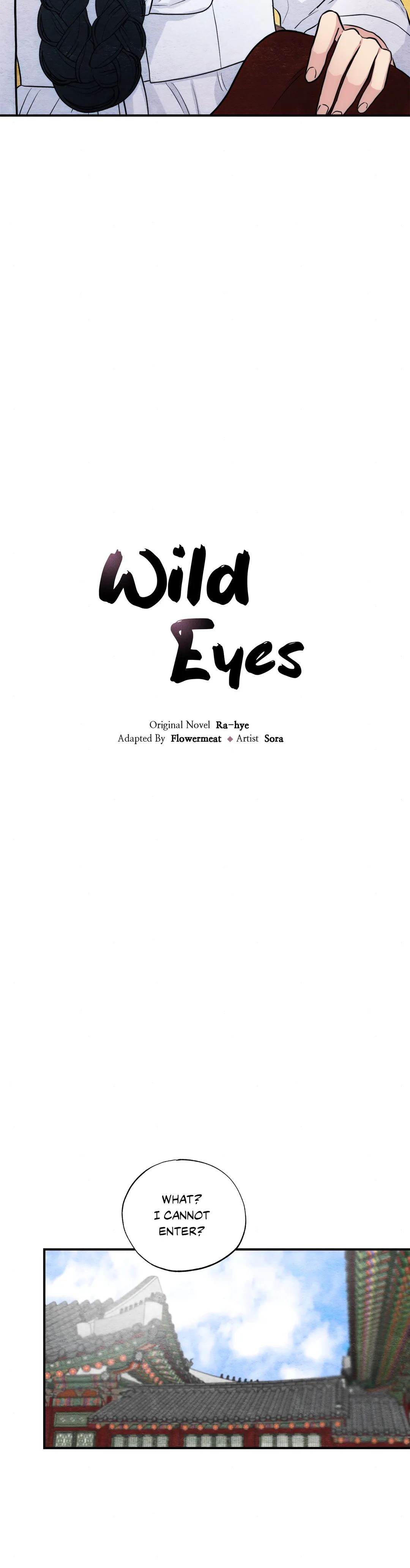 Wild Eyes NEW image