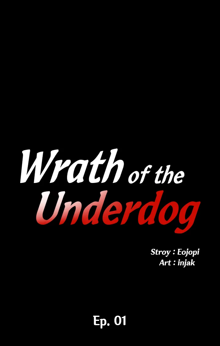 Wrath of the Underdog image