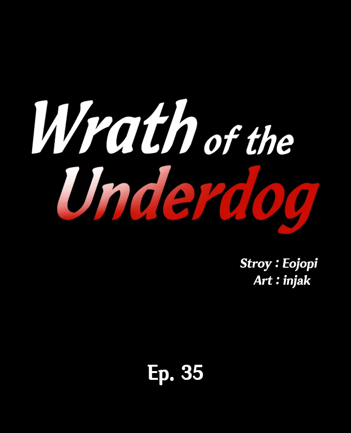 Wrath of the Underdog image