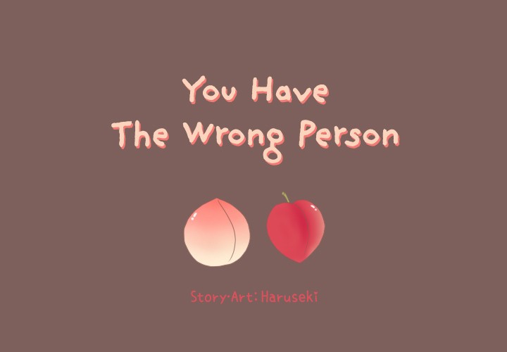 You Have The Wrong Person image