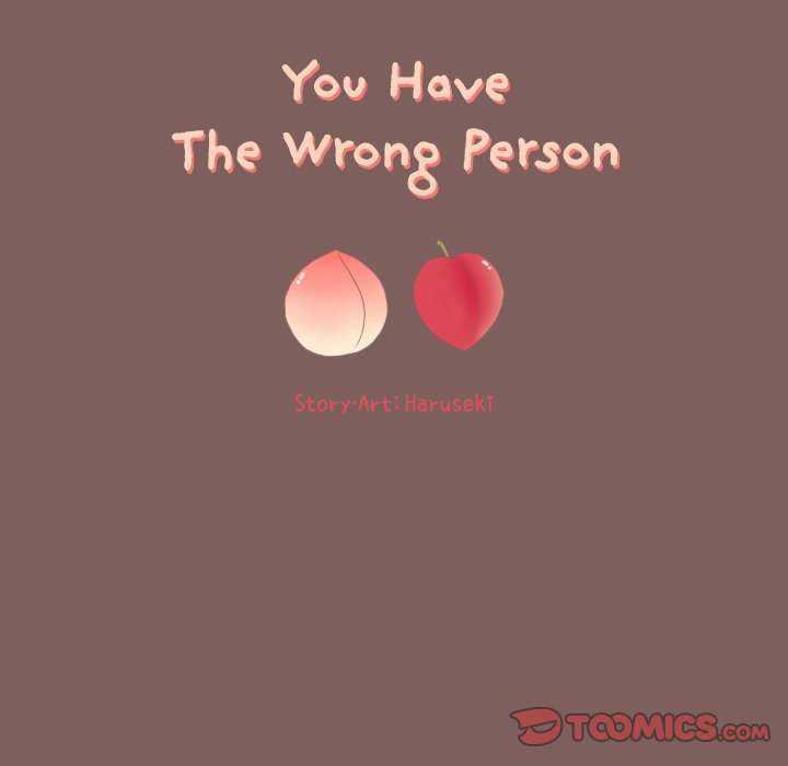 You Have The Wrong Person image