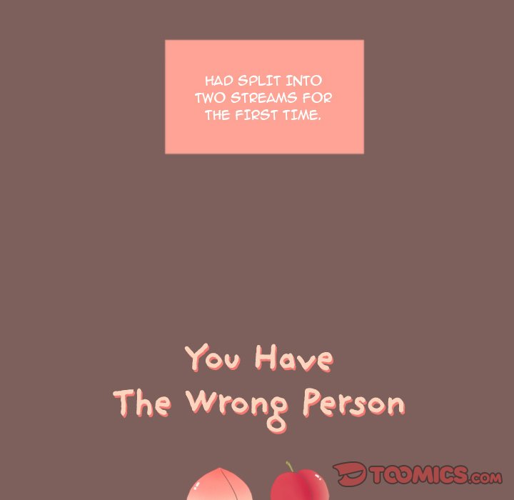 You Have The Wrong Person image
