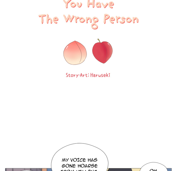 You Have The Wrong Person image