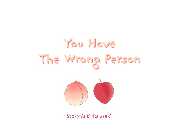 You Have The Wrong Person image
