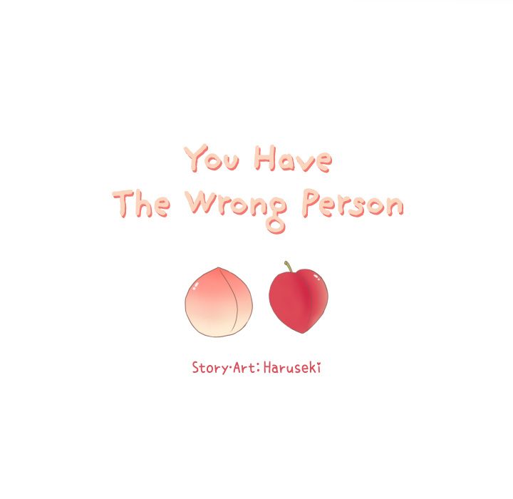 You Have The Wrong Person image
