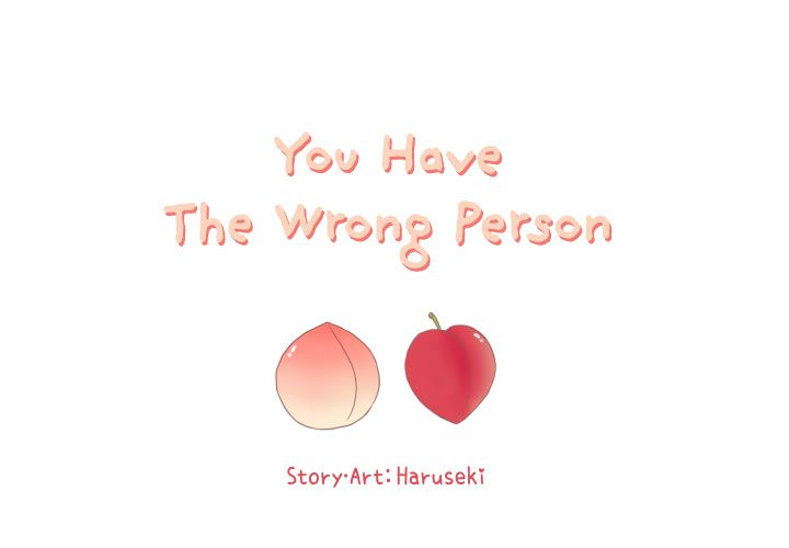 You Have The Wrong Person image